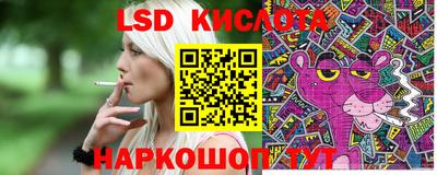 ГАЛЛЮЦИНОГЕННЫЕ ГРИБЫ Сланцы